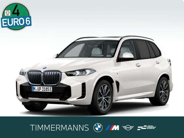 BMW X5 (Bild 1/5)
