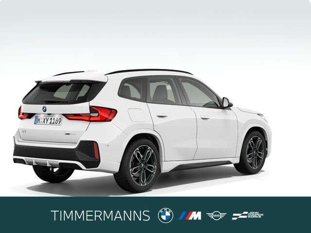 BMW X1 (Bild 5/5)