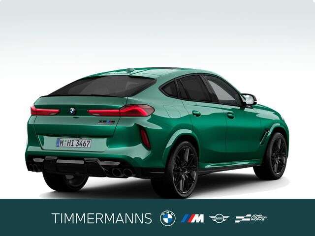 BMW X6 M (Bild 2/5)