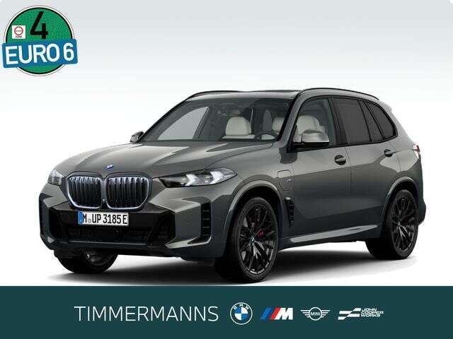 BMW X5 (Bild 1/5)