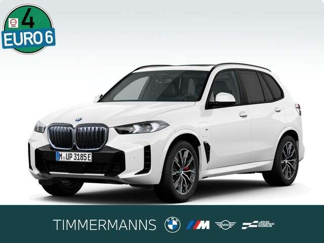 BMW X5 (Bild 1/5)