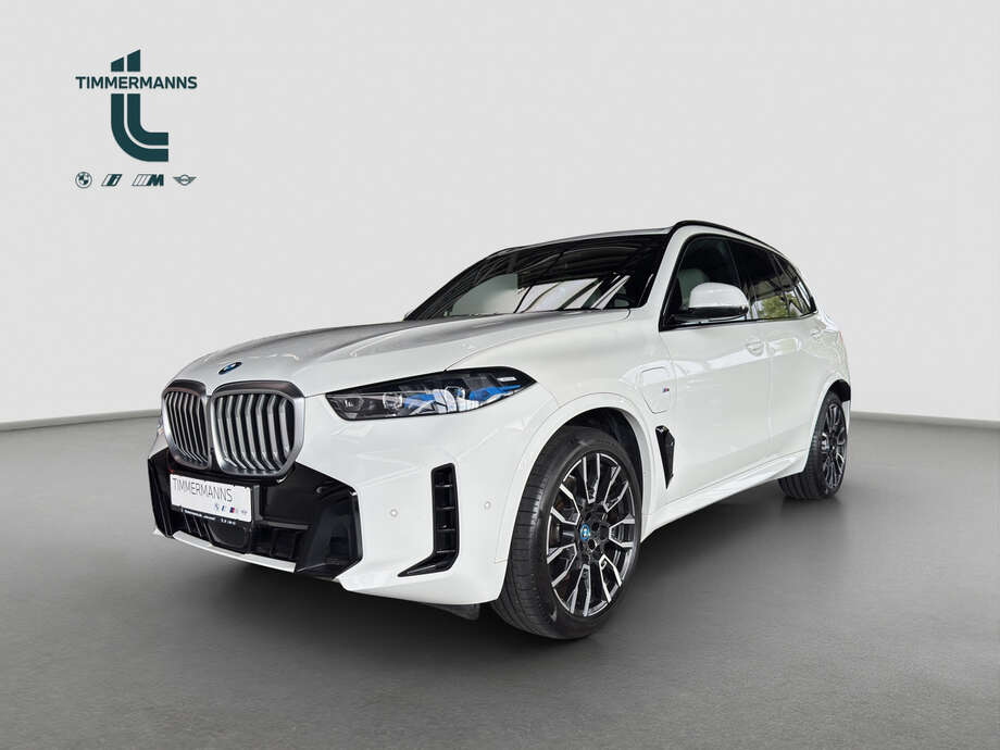 BMW X5 (Bild 1/25)