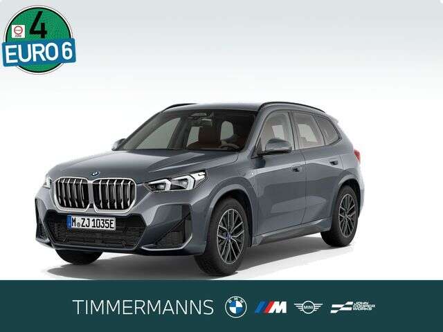BMW X1 (Bild 1/5)