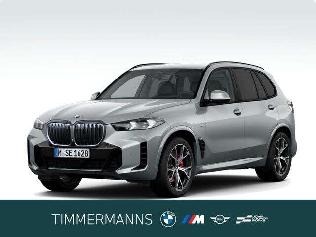 BMW X5 (Bild 1/6)
