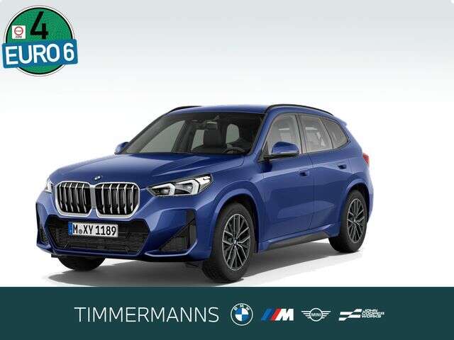 BMW X1 (Bild 1/5)
