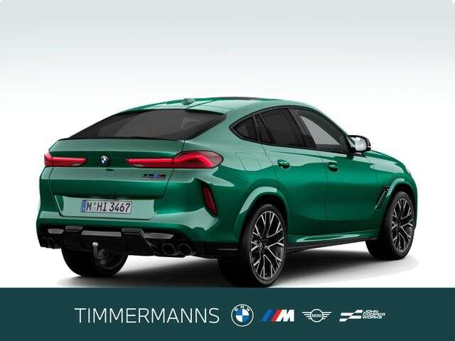 BMW X6 M (Bild 2/5)