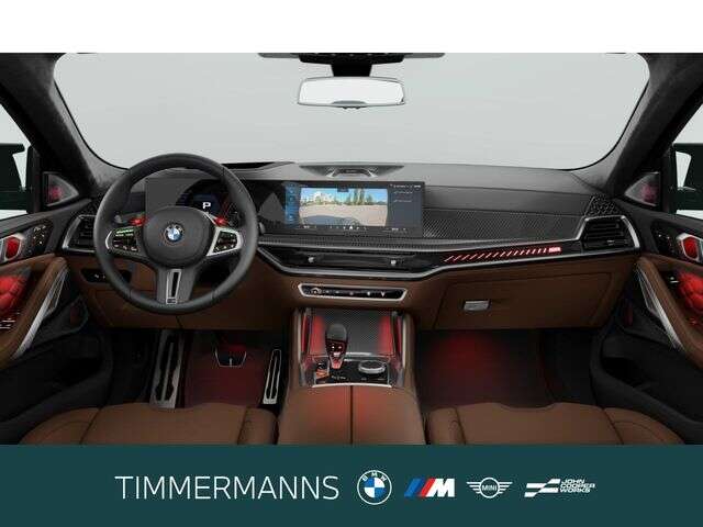 BMW X6 M (Bild 4/5)