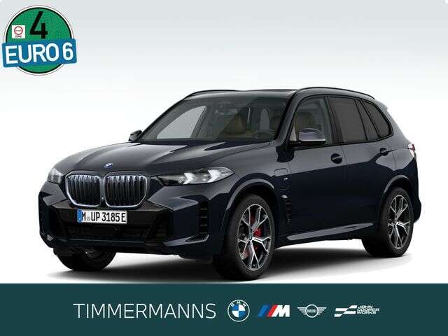 BMW X5 (Bild 1/5)