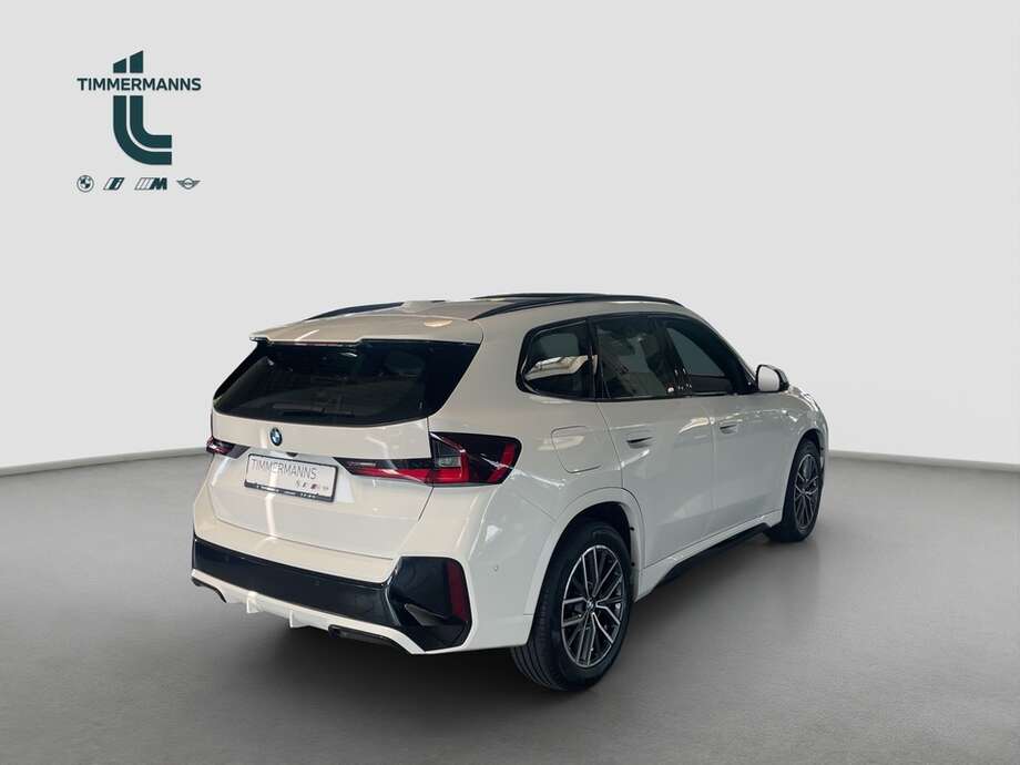 BMW X1 (Bild 5/14)