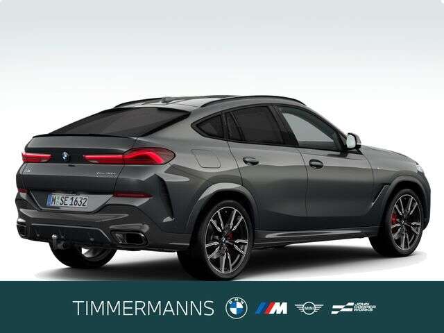 BMW X6 (Bild 5/5)