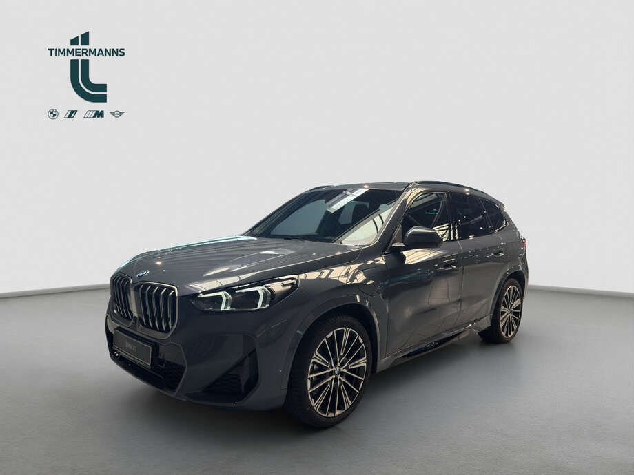 BMW X1 (Bild 1/16)