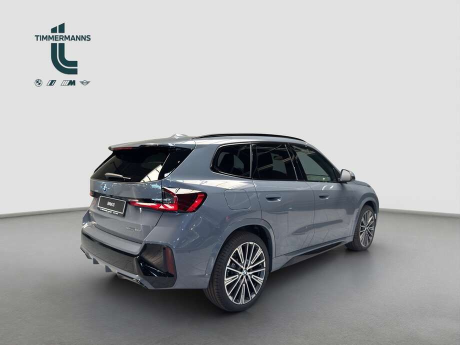 BMW X1 (Bild 6/16)