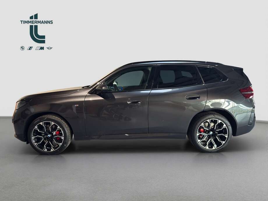 BMW X3 (Bild 2/12)