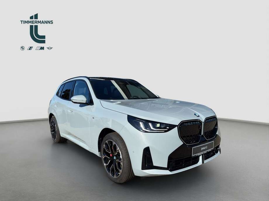 BMW X3 (Bild 8/17)