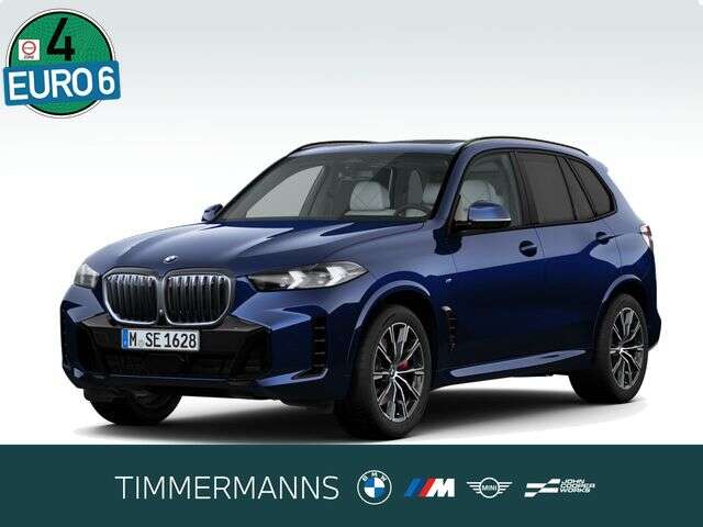 BMW X5 (Bild 1/5)