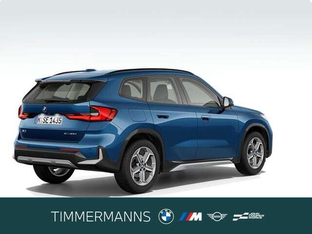 BMW X1 (Bild 5/5)