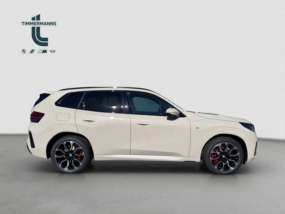 BMW X3 (Bild 7/17)