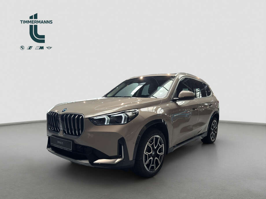 BMW X1 (Bild 1/17)