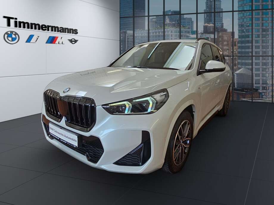 BMW X1 (Bild 1/2)