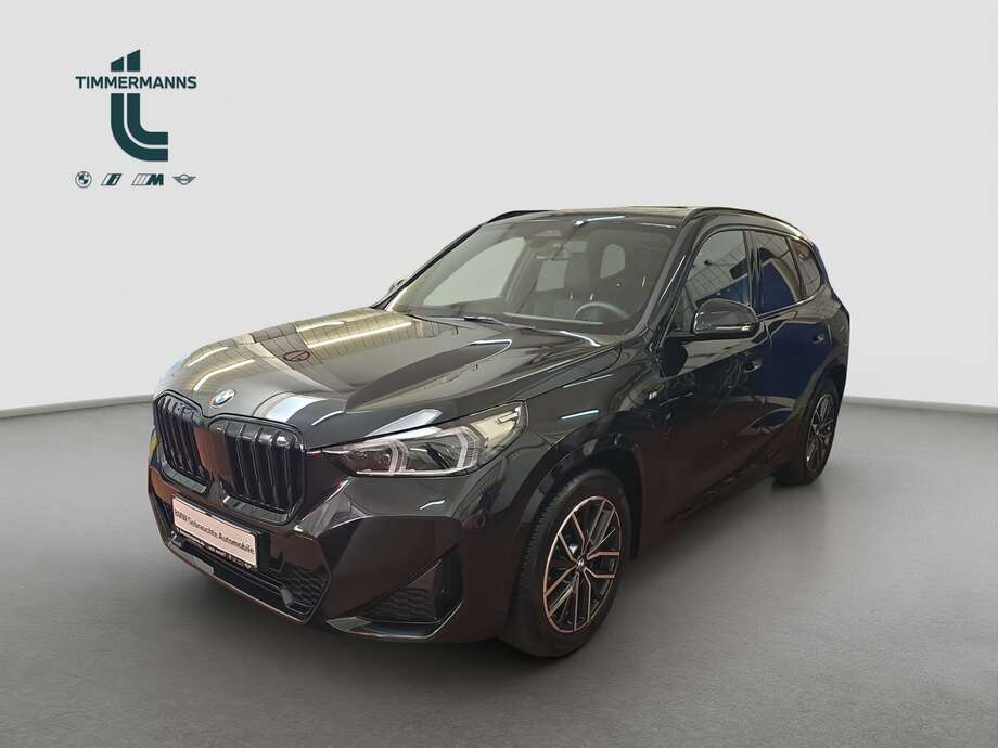 BMW X1 (Bild 1/2)