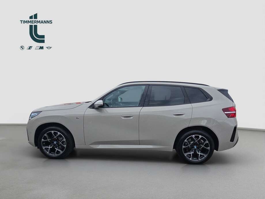 BMW X3 (Bild 2/19)