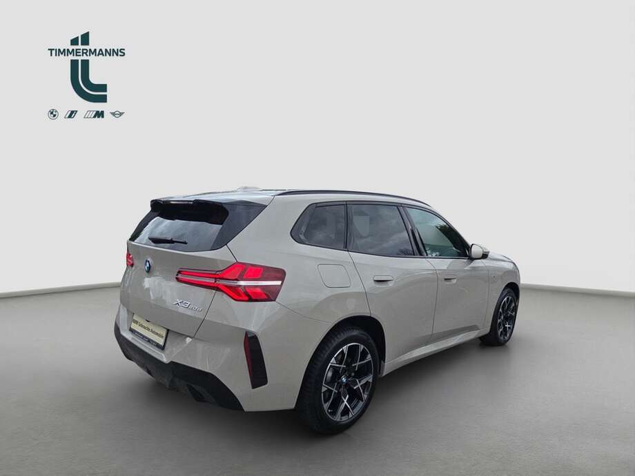 BMW X3 (Bild 5/19)