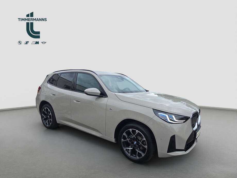BMW X3 (Bild 7/19)