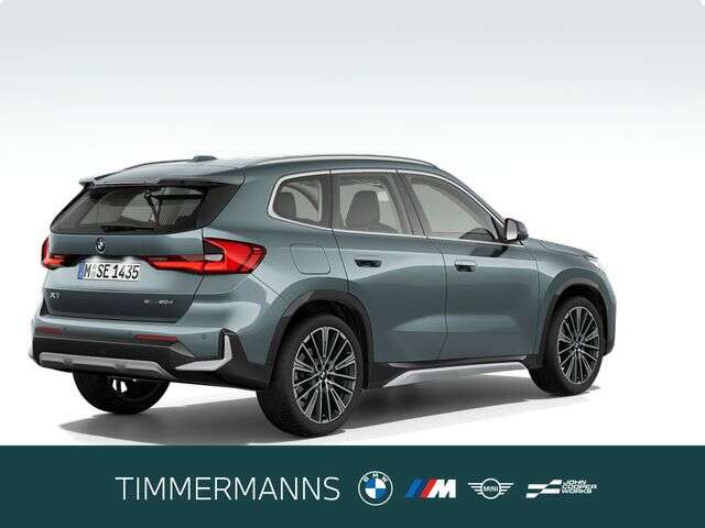 BMW X1 (Bild 5/5)