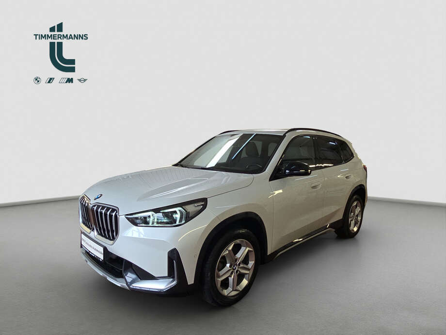 BMW X1 (Bild 1/19)