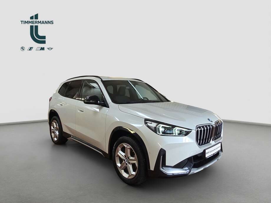 BMW X1 (Bild 7/19)