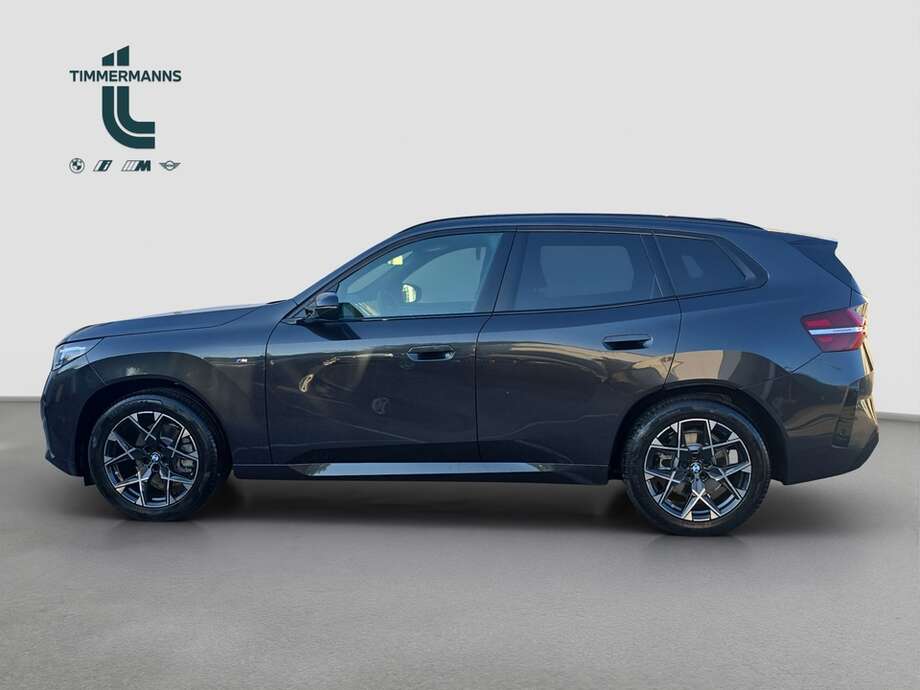 BMW X3 (Bild 2/18)