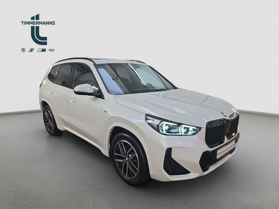 BMW X1 (Bild 17/19)