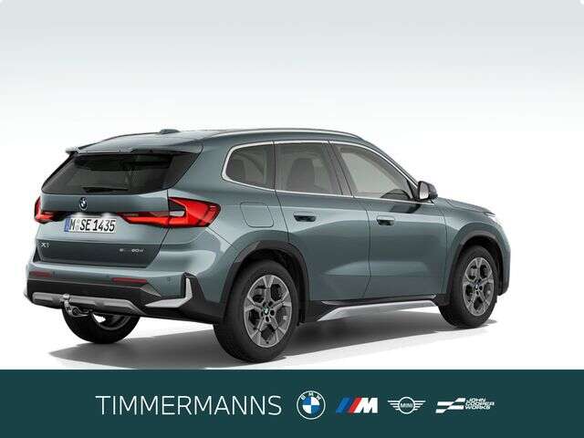 BMW X1 (Bild 5/5)