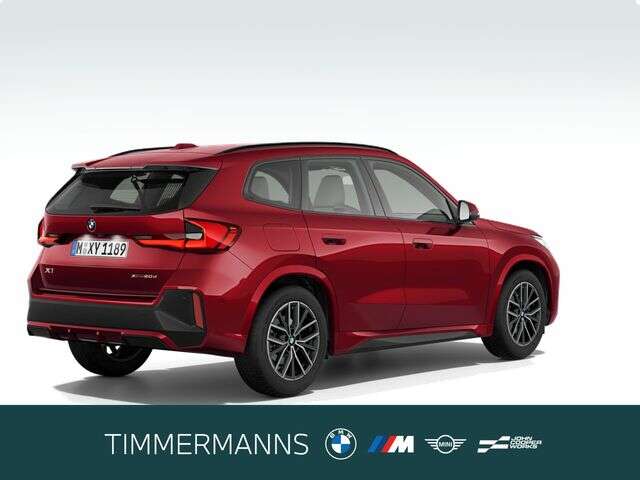 BMW X1 (Bild 5/5)