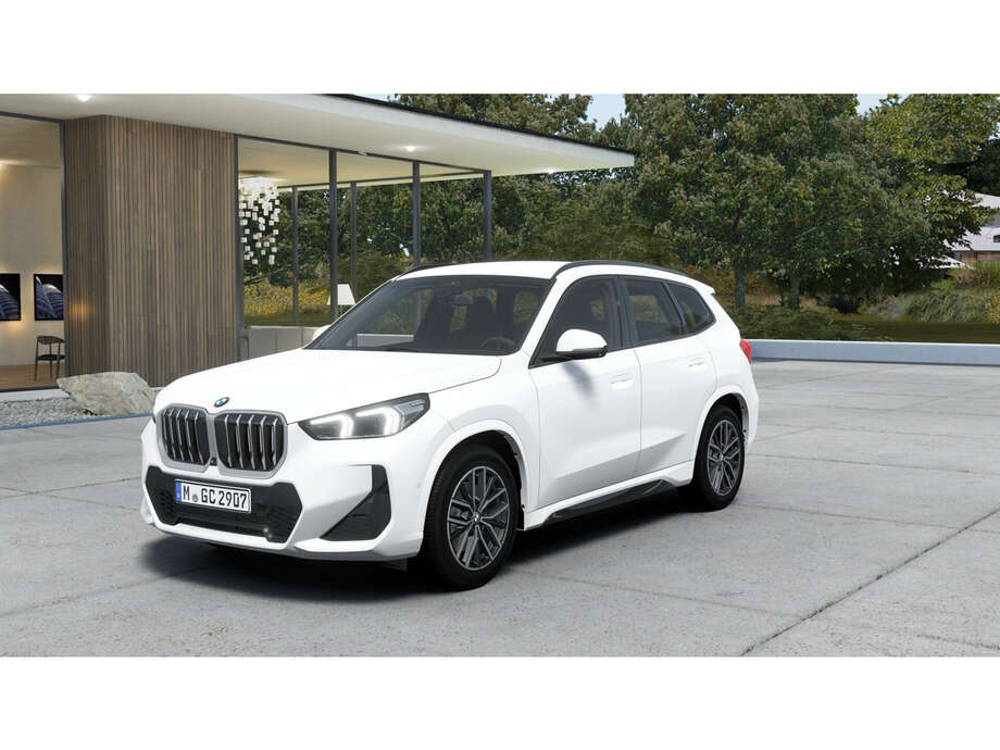 BMW X1 (Bild 1/6)