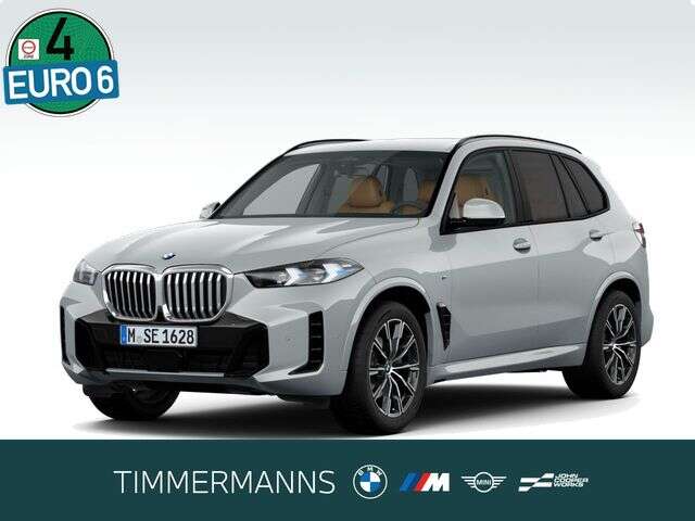 BMW X5 (Bild 1/5)