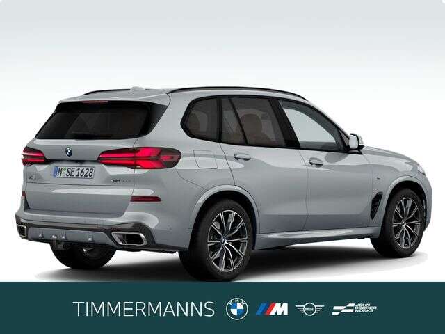BMW X5 (Bild 5/5)