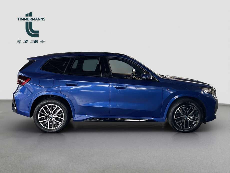 BMW X1 (Bild 9/12)