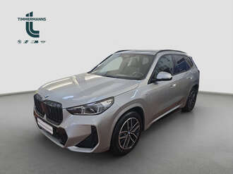 BMW X1 (Bild 1/19)