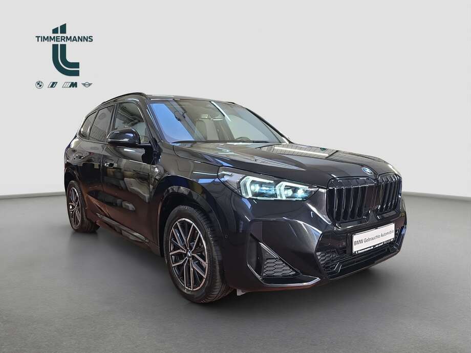 BMW X1 (Bild 17/19)