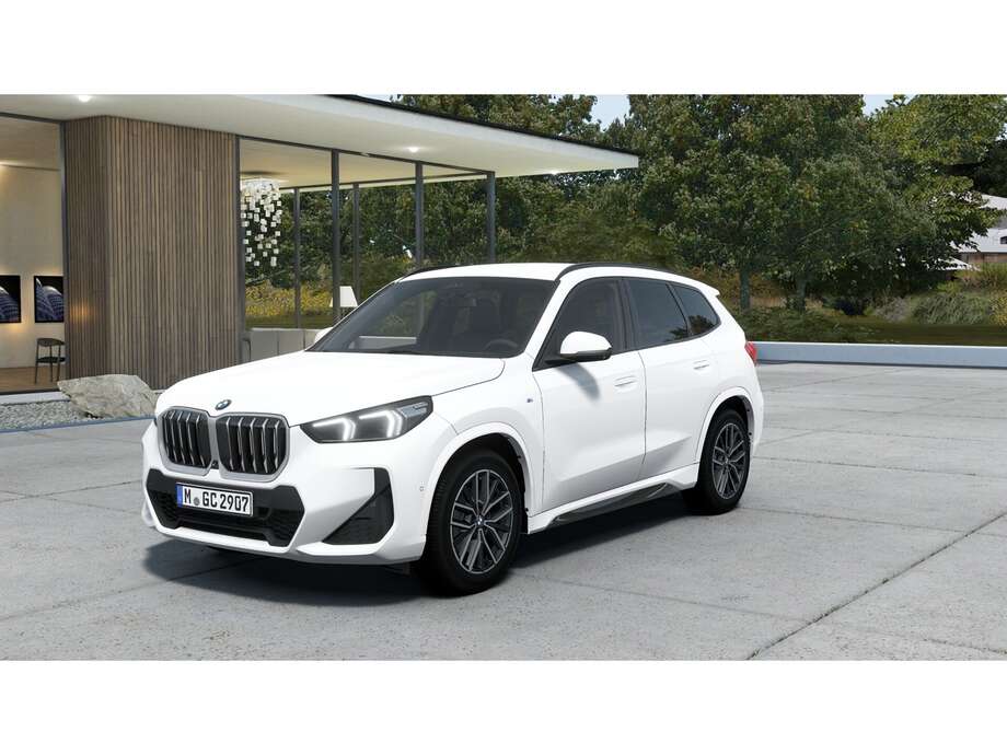 BMW X1 (Bild 1/14)