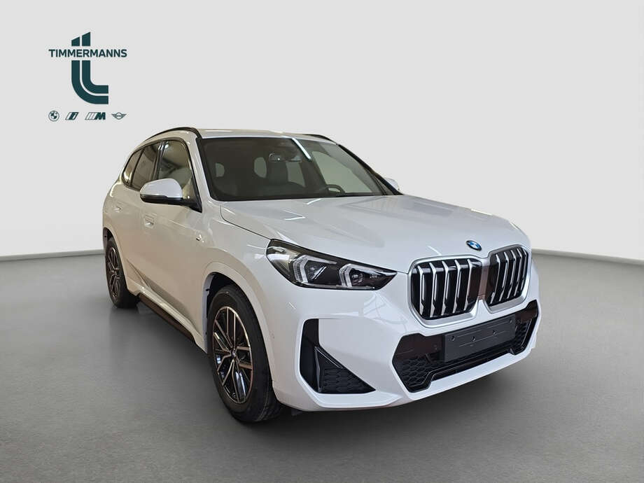 BMW X1 (Bild 8/11)