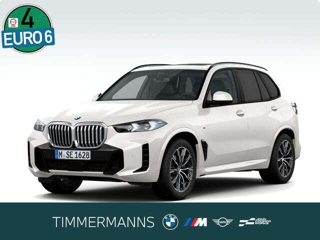 BMW X5 (Bild 1/5)