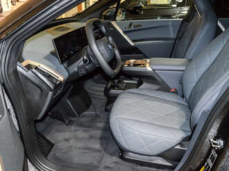 BMW iX (Bild 2/2)