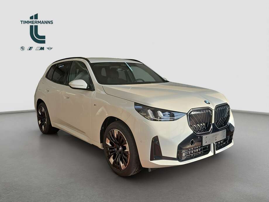 BMW X3 (Bild 8/18)