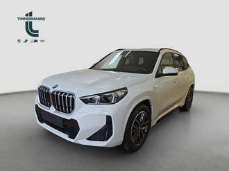 BMW X1 (Bild 1/11)