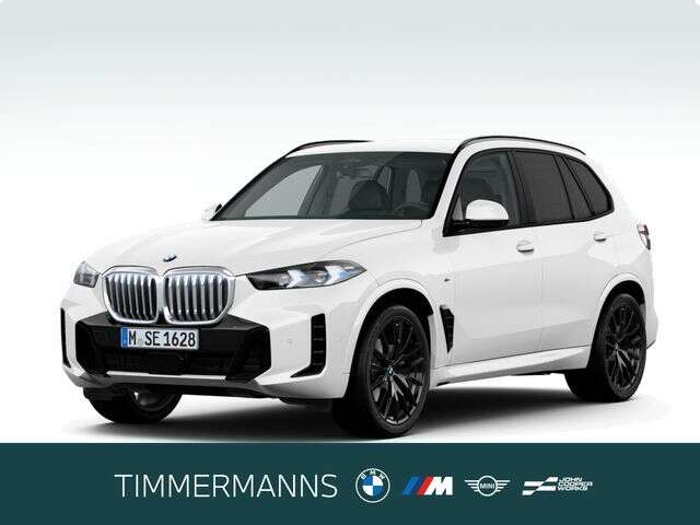 BMW X5 (Bild 1/6)