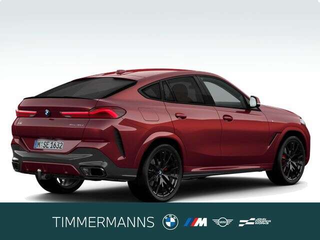 BMW X6 (Bild 5/5)