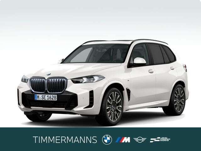 BMW X5 (Bild 1/6)