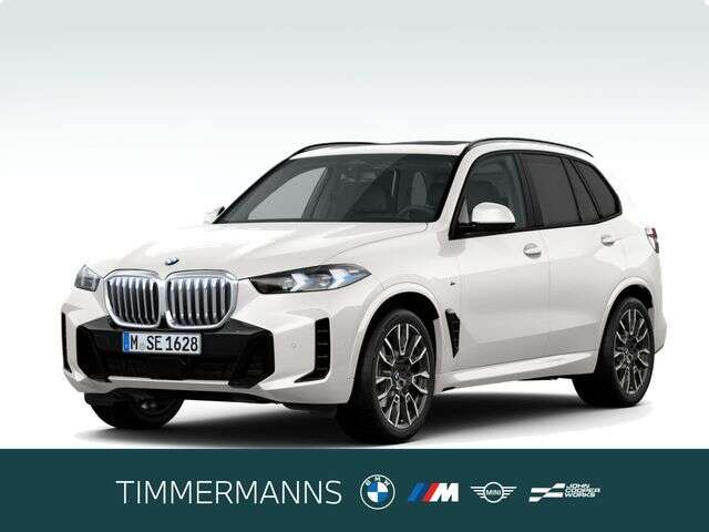 BMW X5 (Bild 1/6)